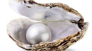 Perlele â un miracol al lumii apelor â Totul prin cuvinte